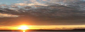 Freedom from Paradise - a free ebook story